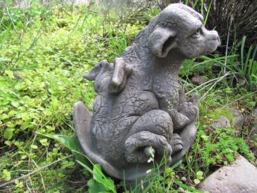 Preview: Drachenbaby SARAPHIR | Fiona Scott © | Pheeberts Statuary